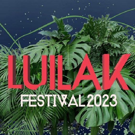Luilak Festival - under 18 cover