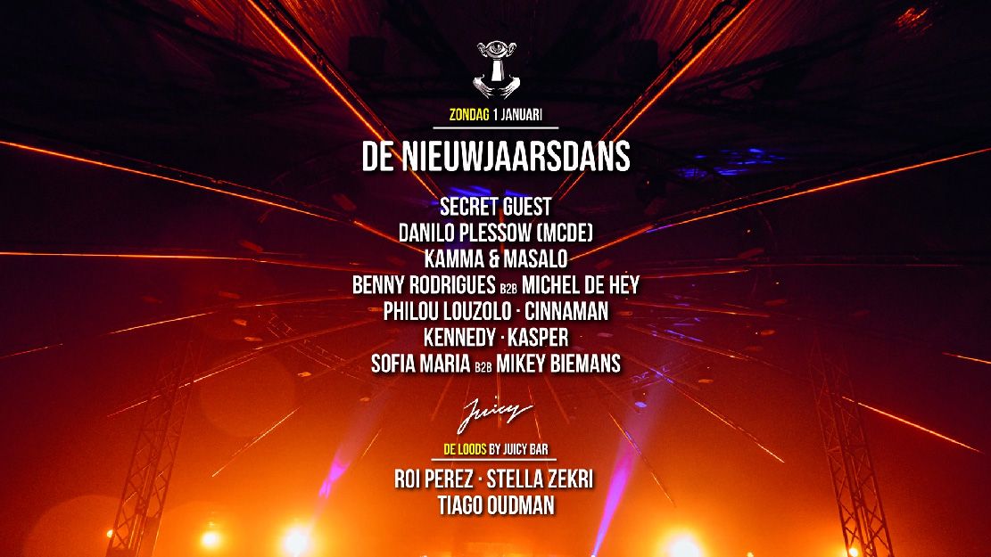 De Nieuwjaarsdans cover