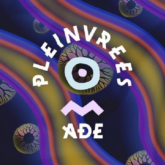 Pleinvrees ADE - friday cover