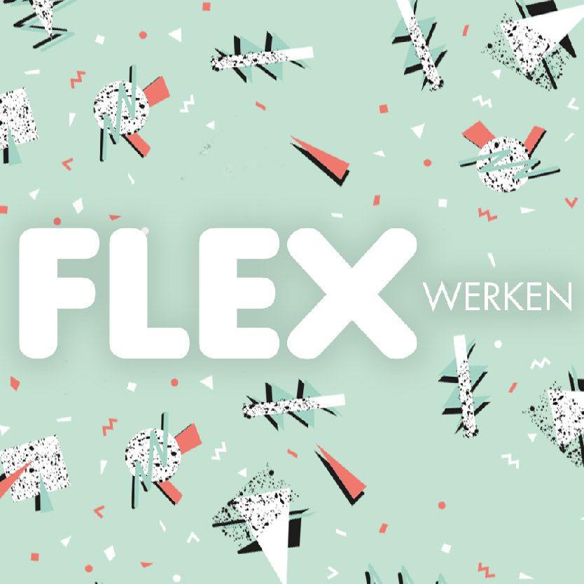 FLEX Werken Kingsday cover