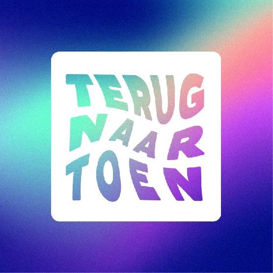 Terug naar Toen 15 Years Festival cover
