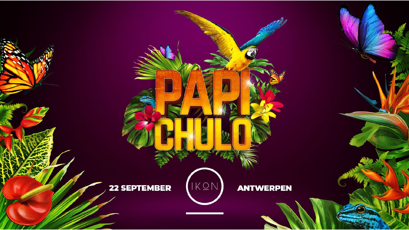 Papi Chulo - IKON cover