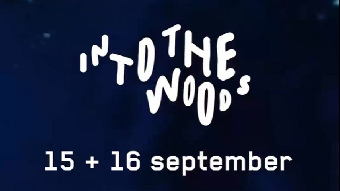 Into the Woods Festival cover