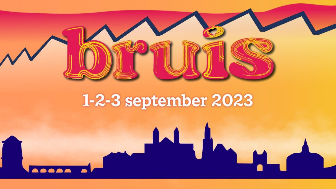Bruis Festival cover