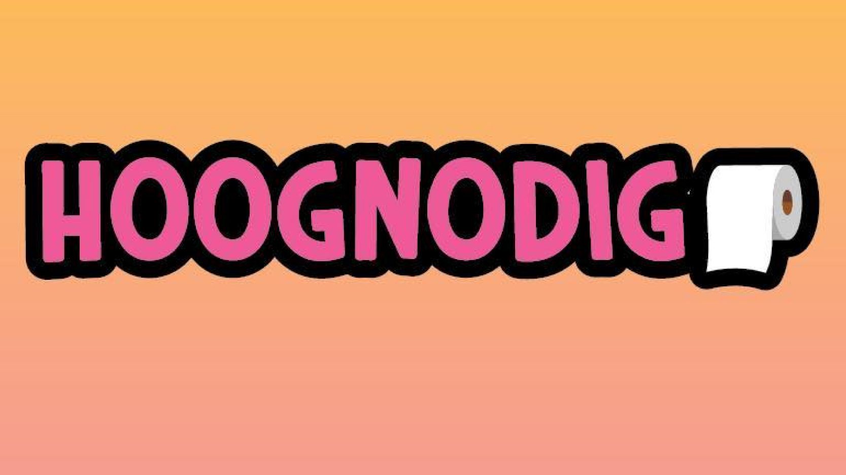 Hoognodig Festival cover