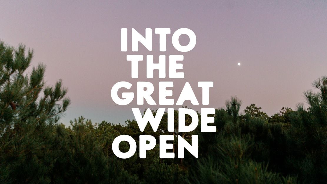 Into the Great Wide Open cover