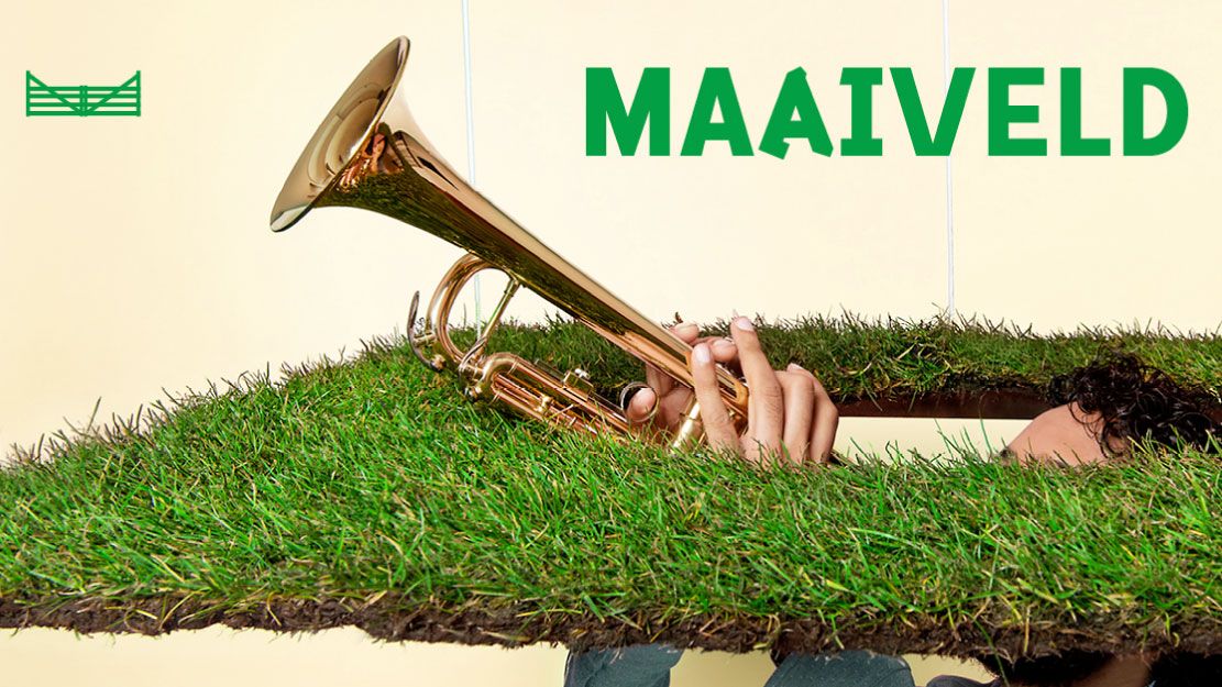 Maaiveld Festival cover