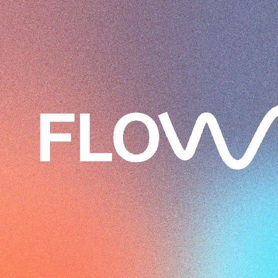 Flow x Joy Festival cover