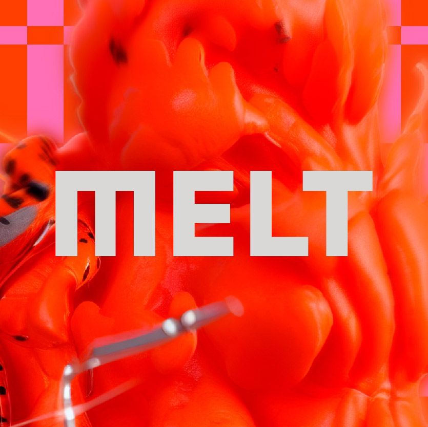 MELT Festival cover