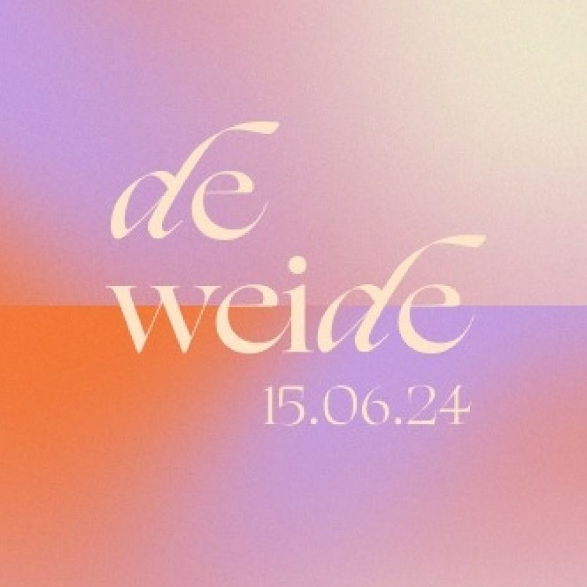 De Weide Festival cover