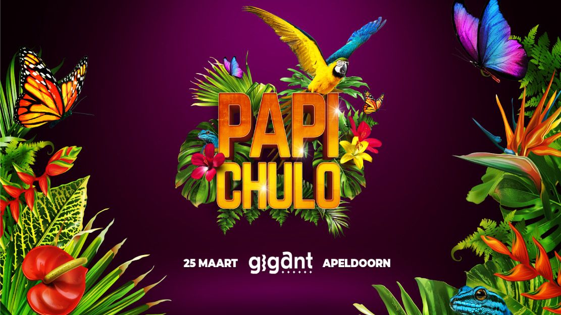 Papi Chulo Apeldoorn cover