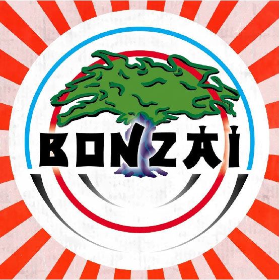 30 Years Bonzai Records cover