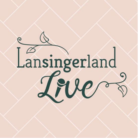 Lansingerland Live 90s cover