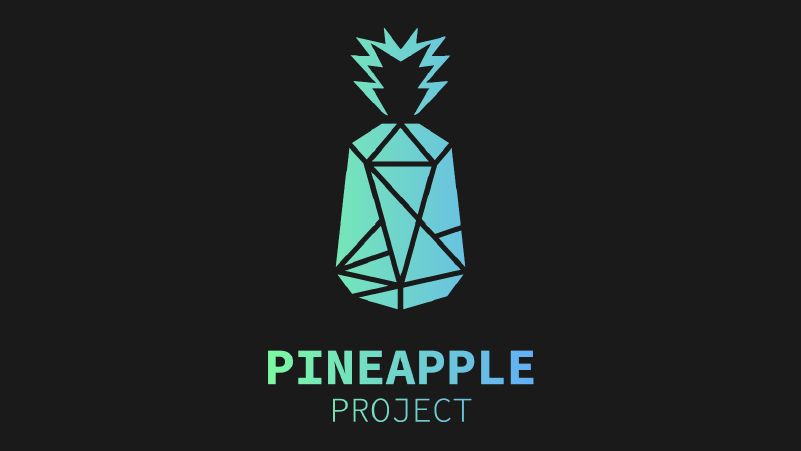 Pineapple Project ADE cover