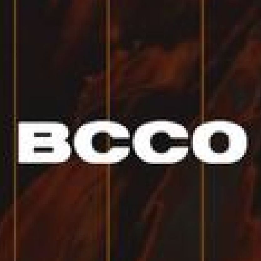 BCCO Kingsday cover