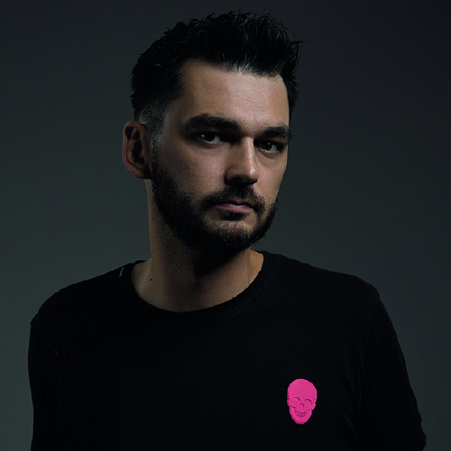 Crypsis photo