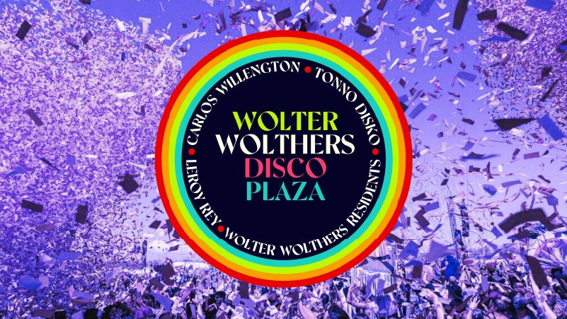 Wolter Wolthers Disco Festival cover