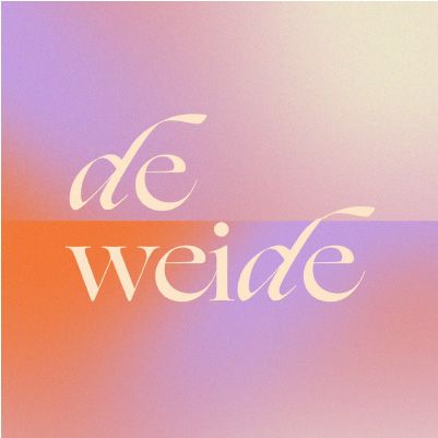 De Weide Festival cover