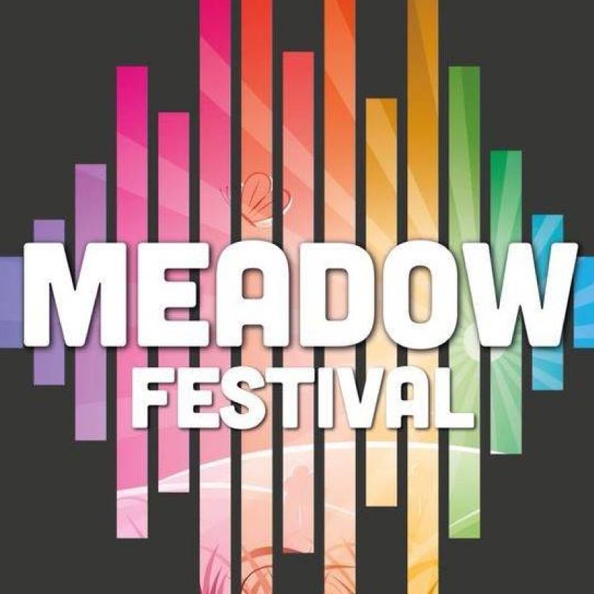 Meadow Festival cover