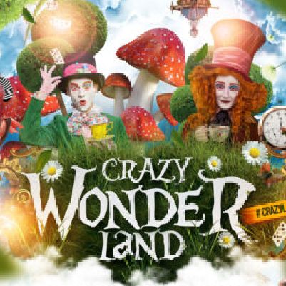 Crazy Wonderland Festival cover