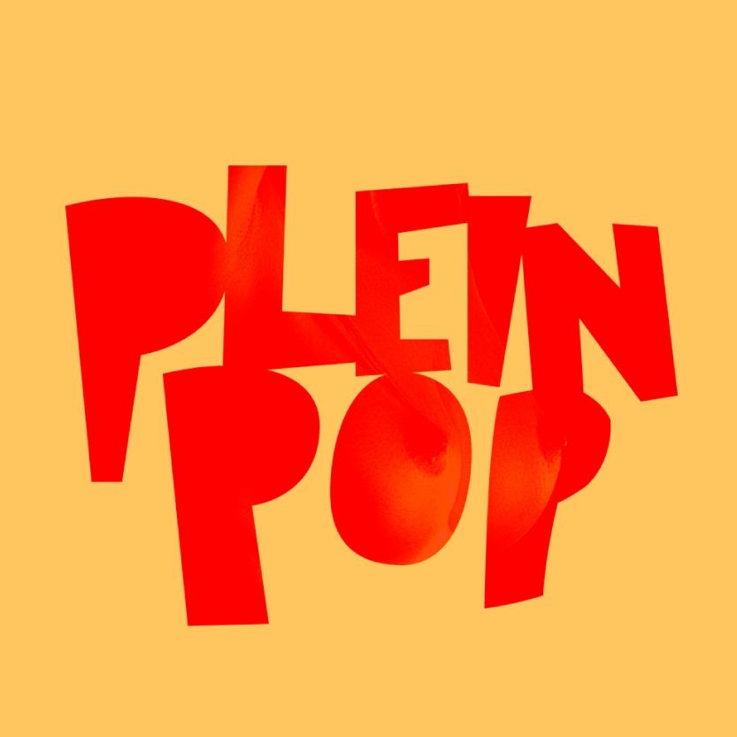 Pleinpop Schijndel cover