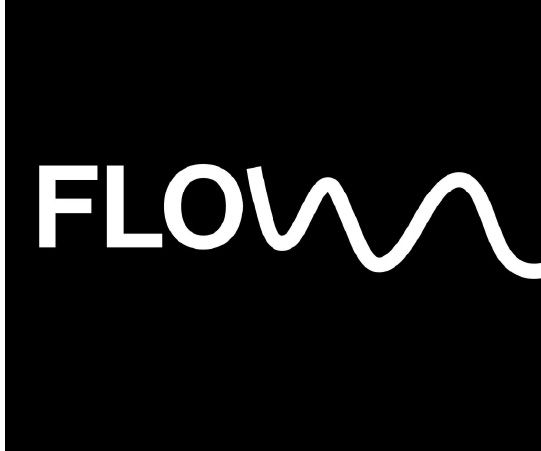 Flow x Joy Festival cover