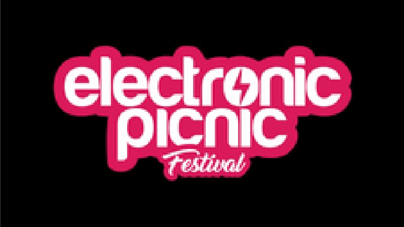 Electronic Picnic cover