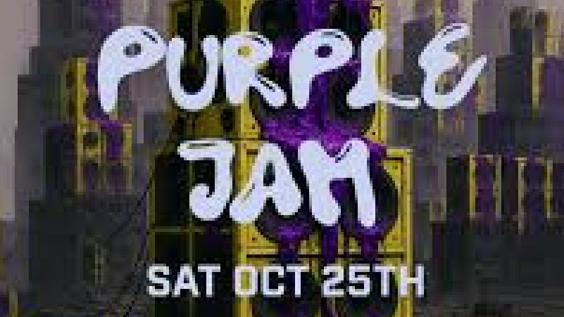 Loco Dice presents Purple Jam cover