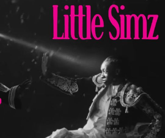 Little Simz - AFAS Live cover