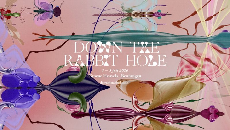 Down the Rabbit Hole cover