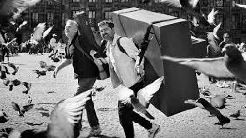 Acda en de munnik - Ziggo Dome cover