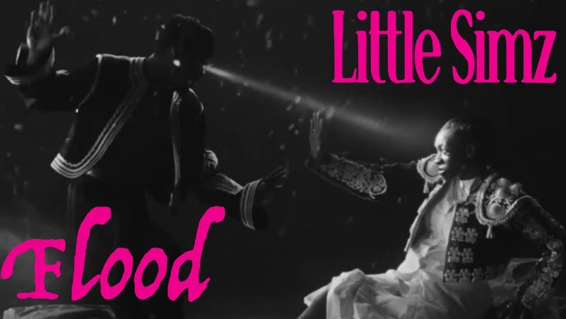 Little Simz - AFAS Live cover