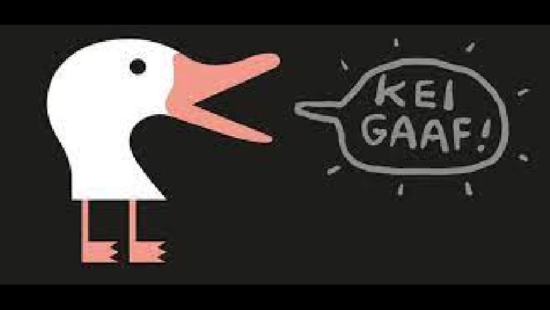 Spanjaardsgat Festival cover