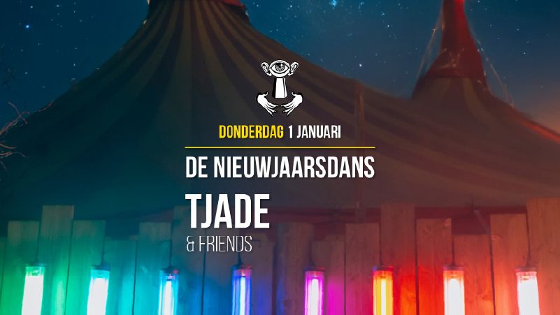 De Nieuwjaarsdans cover