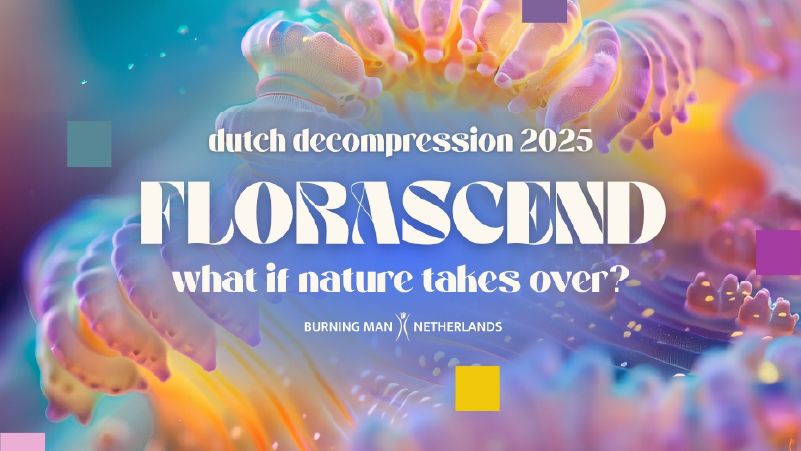 Dutch Decompression  cover