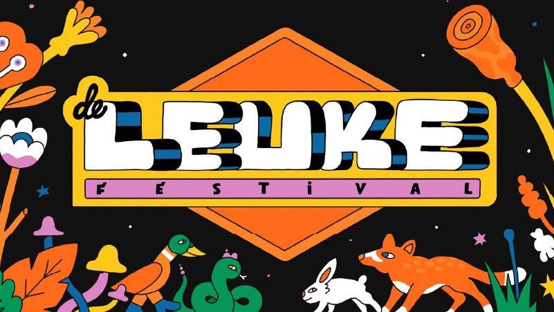 De Leuke Festival cover