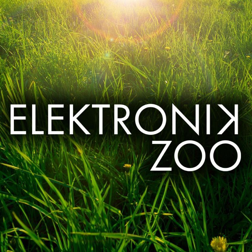 Elektronik Zoo Spring weekender cover