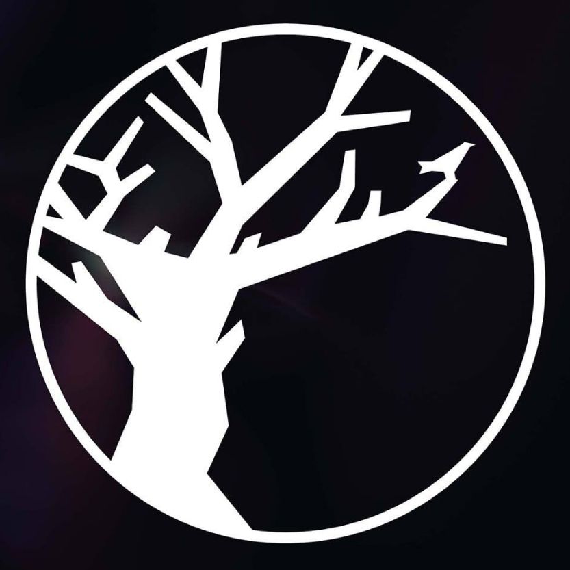 Backyard Festival cover