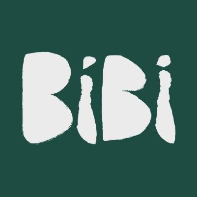 BiBi Koningsnacht - Amsterdam cover