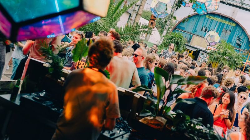 Fluff Disco Festival cover