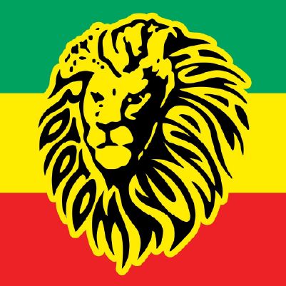 Rototom Festival cover