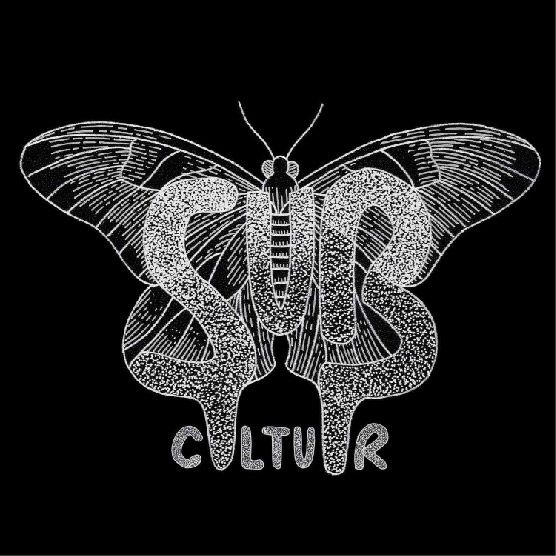 Subcultuur Kingsnight cover