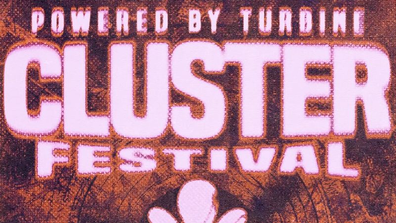 Cluster Festival cover