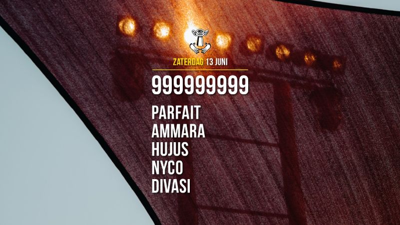 Thuishaven x 999999999 & more cover