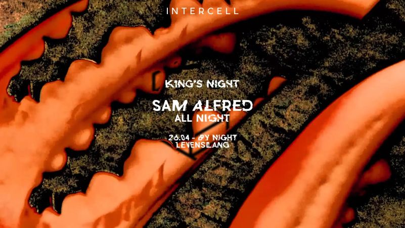 Intercell x Sam Alfred All Night | Kingsnight cover