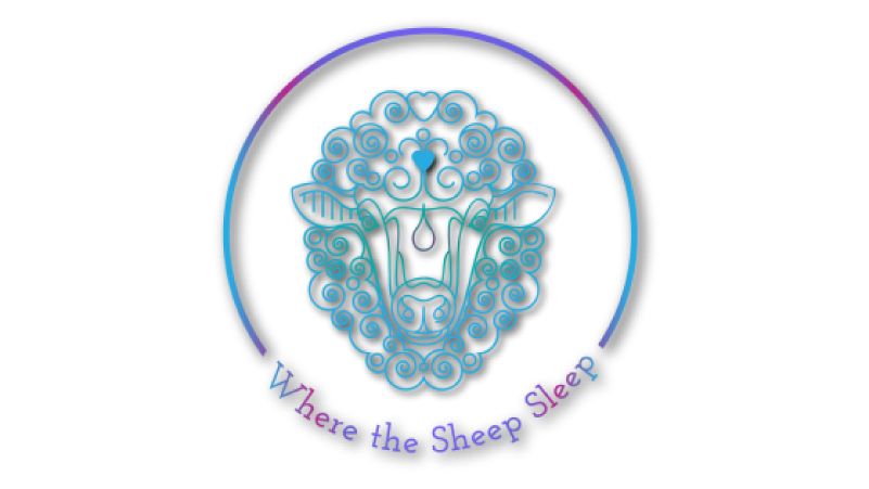 Where the Sheep Sleep cover