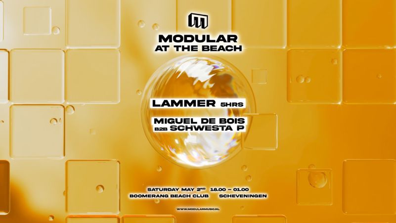 Modular At The Beach cover