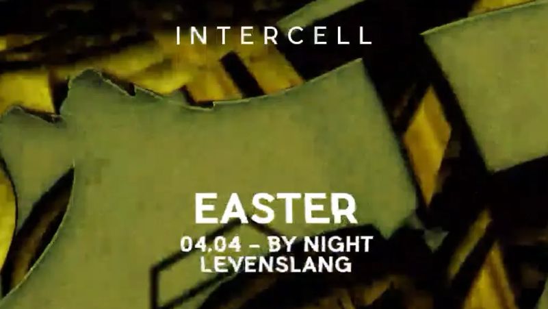 Intercell Easter cover