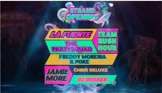 Villa on the Beach - Strandopening banner_small