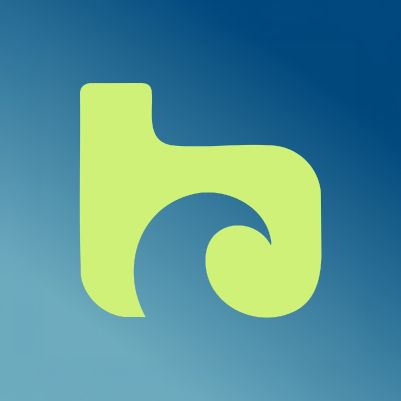 Boardmasters Festival cover